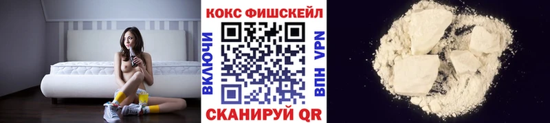 Купить закладки  Тында  Cocaine 97% 