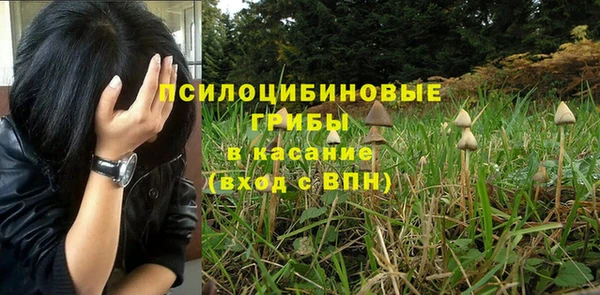 а пвп мука Баксан